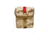 Spec Ops Cordura Medical Pouch, Large, DDC Desert Digital 100630125