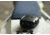 SPOT Trace Satellite Tracking Device, Black, SPOT TRACE - 01