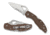 Spyderco Byrd Meadowlark2 Blue Frn Plainedge, Brown, BY04PSBN2