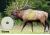 SSI Elk Target 3 Pack SME-TRG-ELK