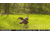 Stealth Cam Fusion-X Pro Cellular Hunting Trail Camera, 36MP, Video &amp; Photo, Camo, STC-FXWT