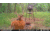 Stealth Cam Fusion-X Pro Cellular Hunting Trail Camera, 36MP, Video &amp; Photo, Camo, STC-FXWT