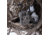 Stealth Cam Fusion-X Pro Cellular Hunting Trail Camera, 36MP, Video &amp; Photo, Camo, STC-FXWT
