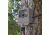 Stealth Cam Security / Bear Box for ZX SERIES, Box STC-BBZX