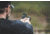 Steiner Micro Pistol Red Dot Sight, 1x, 3.3 MOA, Black, 8700-MPS