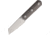 StraightLine EDC Erny Fixed Blade Titanium, STR8ERT