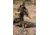 Streamlight TLR-1 HL 1000 Lumen LED Tactical Weapon Light Long Gun Kit, CR123A, White, 1000 Lumens, Flat Dark Earth, 69888