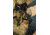 Streamlight TLR-1 HL LED Rail-Mounted TacticalFlashlight, 800 Lumens w/Lithium Batteries, Flat Dark Earth Brown, 69267