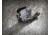 Streamlight TLR-6 Gun Mounted Tactial LED Light, CR1/3N,Sig P238/938, 100 Lumens, Black, 69275