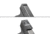 Strike Industries G.U.M. Universal Optics Mount for GLOCK Version 2, Phosphate Finish, Black, SI-GLOCK-GUM-V2