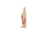 Strut Commander Pallbearer Dugout Cherry