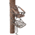 Summit Treestands Explorer SD, Open Front Climbing Stand, 20x36in Platform 285655