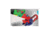 Sun Lifelight- Frog Light Assort 622-W