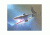 Sun Lifelight- Shark Light 626-W