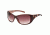 Sunbelt Halo Sbp Polarized Assort 535 LP