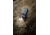 SureFire DBR Guradian Weapon Light, 800 Lumens, Black, DBR