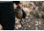 Surefire Maximus 1000 Lumens Rechargeable LED Headlamp, Black HS3-A-BK