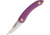 Svord Chip Thwitel Whittler Purple Folding Knife,2.5in,Satin,Purple Polypropylene Handle SVCHWP