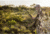 Swagger Stalker Lite Bipod, Black, SWAG-ST-LITE