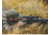 Swagger SteelBanger Basic Bipod, Black, SWAG-BP-TSB9, EDEMO2