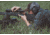 Swampfox Patriot Rifle Scope, 6-24x50mm, 30mm Tube, First Focal Plane, Sharpshooter Grid MIL Reticle, Black, 6-24X50 L