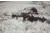 Swampfox Tomahawk LVPO Rifle Scope, 1-8x24mm, 30mm Tube, Second Focal Plane, Illuminated Guerrilla Dot BDC Reticle, Black, ATK18241-B