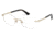 Swarovski SK5166 Eyeglass Frames - Gold Frame Color