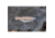 Swiss Advance JACK Penny Knife