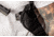 Tacticon Armament Universal Shoulder Holster, Black, UVSHBK