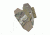 TAG Shoulder Pad Accessory, Multicam