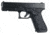 Talon Grips Handgun Grip Fits Glock 17 Gen5 Medium Backstrap, Black, Rubber, 371R