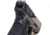 Techna Clips Conceal Carry Kit, Glock BRL and Trigger Guard, Black, CCKGLOCKBRL
