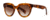 Tod's TO0117 Sunglasses - Havana Frame Color