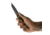 Toor Knives Dealer Exclusive Phosphor Green Serpent Fixed Blade Knife, 3.75in, Steel CPM3V, G10 Handle, Serpent-DE