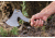 Tops Knives Grandpas Ax, Brown Handle GRAX-02
