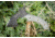 Tops Knives Max the Mini Axe TPMAX01