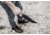 Tops Knives Prather War Bowie Fixed Blade Knife TPPWB01