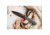 TOPS Knives Szabo Express Single Edge