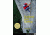 Traditional Lead Climbing, Heidi Pesterfield, Publisher - Wilderness Press