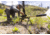 Tricer UL Bipod, 8.7-11.6in Height Range, Black/Silver, UL-BIP-3