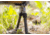 Tricer UL Bipod, 8.7-11.6in Height Range, Black/Silver, UL-BIP-3
