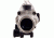 Trijicon ACOG 3.5x35 Nickel Boron Dual Illum. Red Chevron .223 Ballistic Reticle w/ TA51 Mount TA11-C-100200