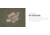 UARM CAM Collarbone Armor Module,Type IIA Threat Level, Multicam, CAMM-SACAM2A