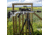 Ulfhednar Shooting Tripod with Ballhead Arca-style, 20 kg, NSN N, UHRT85CWBH