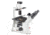 UNICO 10x Widefield Eyepiece, FN 20 mm, Single