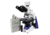Unico Trinocular Microscope w/ Heated Stage G493PL