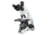 UNICO Trinocular, WF10X, 4X, 10X, 40XR, 100XR DIN, MECH., ABBE NA 1.25 &amp; IRIS, LED, M283