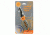 UST Urban Rescue Tool, Gray/ Orange 20-51131-1