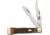 Utica Coffin Knife Brown Bone Knife UTK1129579BB