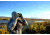 Vanguard Endeavor ED 8x42 Roof BaK4 Prism Waterproof Binocular, Black 339366